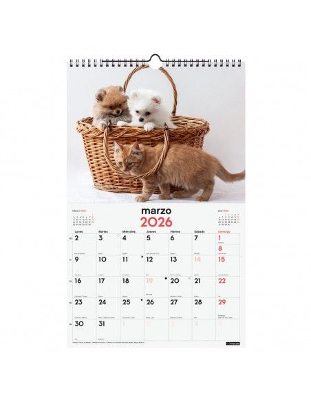Calendario Finocam 2026 perros y gatos anual decorativo