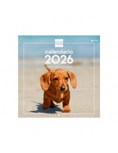 Calendario pared 2026 Finocam cachorros con espacio notas
