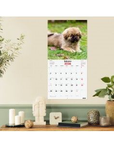 Calendario pared 2026 Finocam cachorros con espacio notas 2
