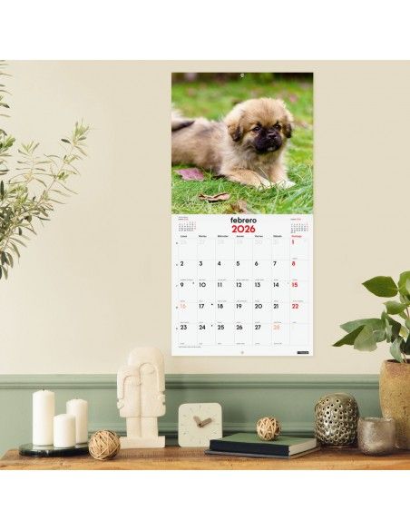 Finocam calendario 30x30 2026 pared perros cachorros adorables