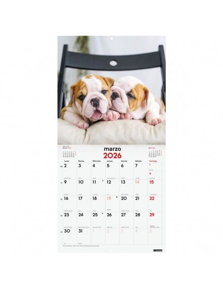 Calendario anual Finocam 2026 pared con fotos de cachorros