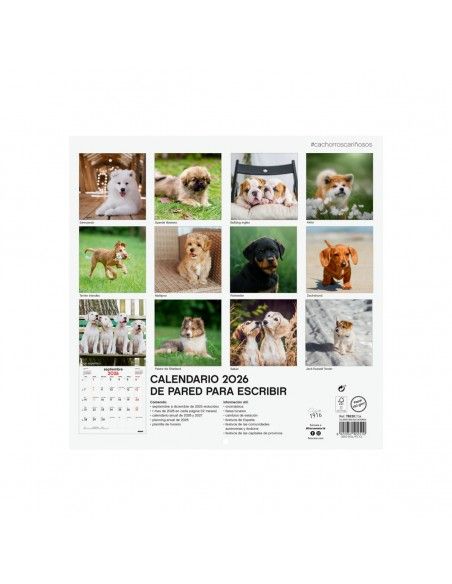 Calendario Finocam 2026 | Pared cachorros con anotaciones