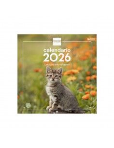 Calendario pared 2025 Finocam gatitos con espacio notas