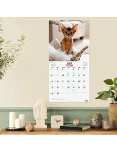 Calendario pared 2025 Finocam gatitos con espacio notas 2