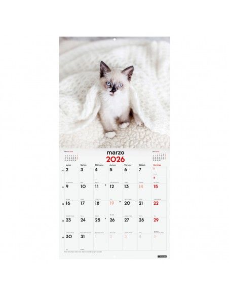 Calendario Finocam 2025 pared anual con fotos de gatitos