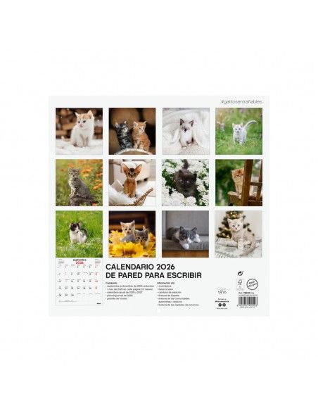 Calendario Finocam 2025 | Pared gatitos con anotaciones
