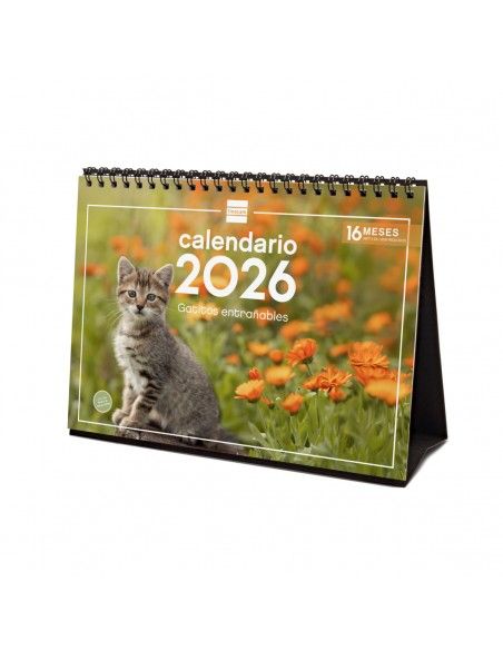 Calendario sobremesa imágenes gatitos 2026 Finocam