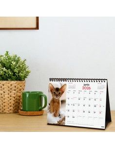 Calendario sobremesa imágenes gatitos 2026 Finocam 2