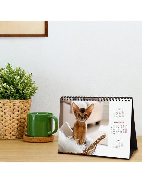 Calendario 2026 Finocam sobremesa con gatitos adorables