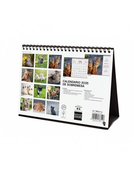 Calendario Finocam 2026 | Sobremesa imágenes gatitos