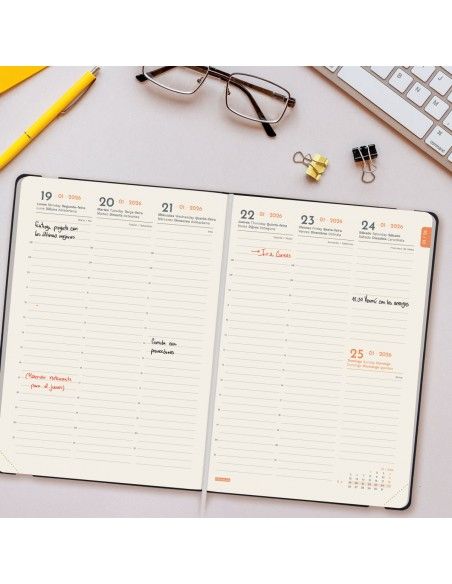 Agenda profesional Finocam Lisa FA5 SVV 2026 en color negro